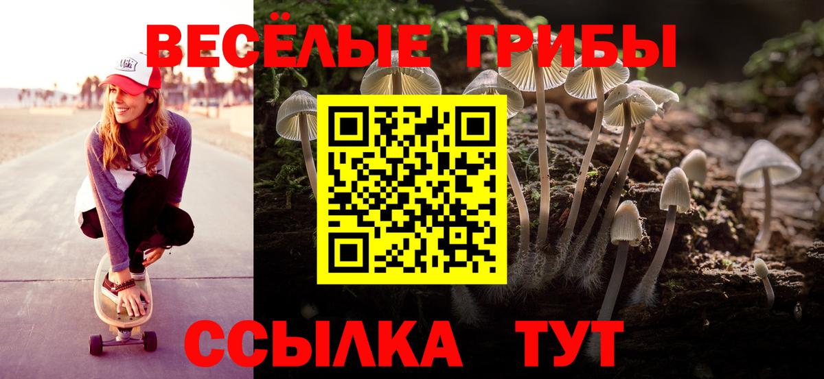 Галлюциногенные грибы мухоморы Старая Русса